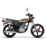 موتور سیکلت پرواز مدل 200 - تصویر 3