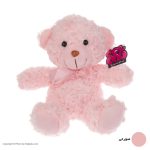 عروسک اس ان بی مدل خرس کد 2021558 - تصویر 5